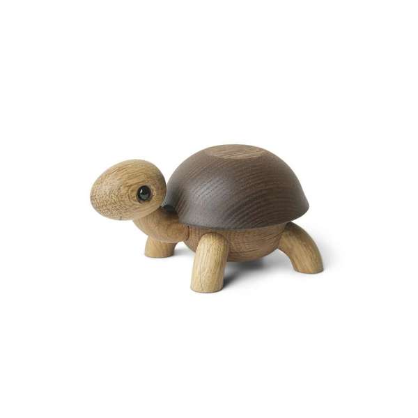 Speedy, Baby Skildpadde