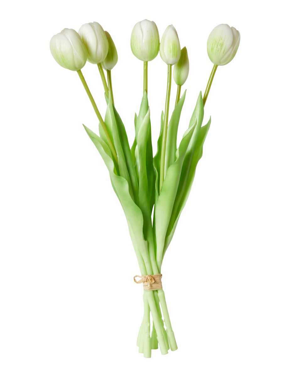 Tulipan buket 7 stilke 39 cm. hvid