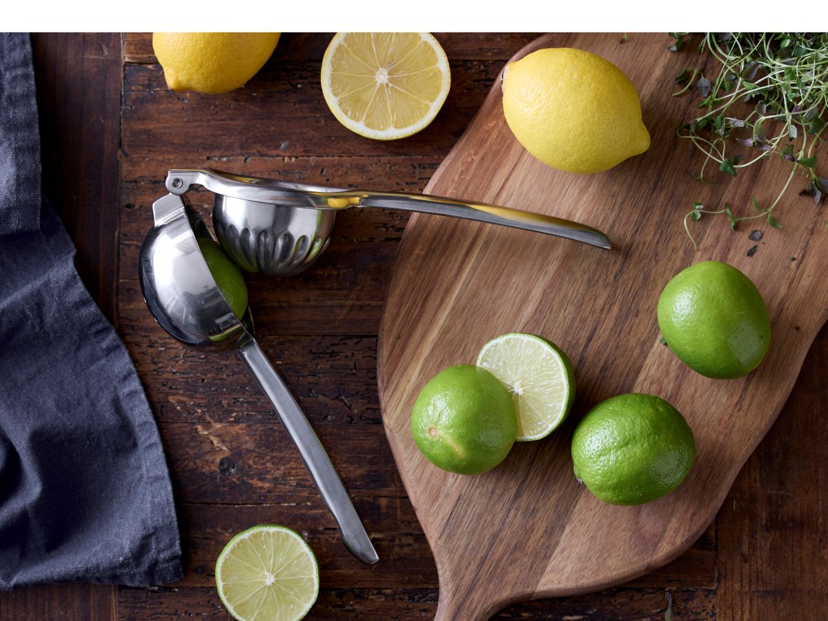 Holm Citruspresser rustfrit stål
