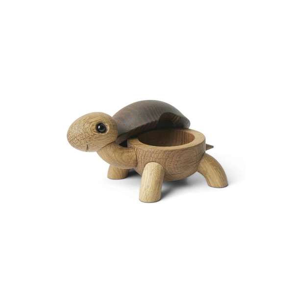 Speedy, Baby Skildpadde