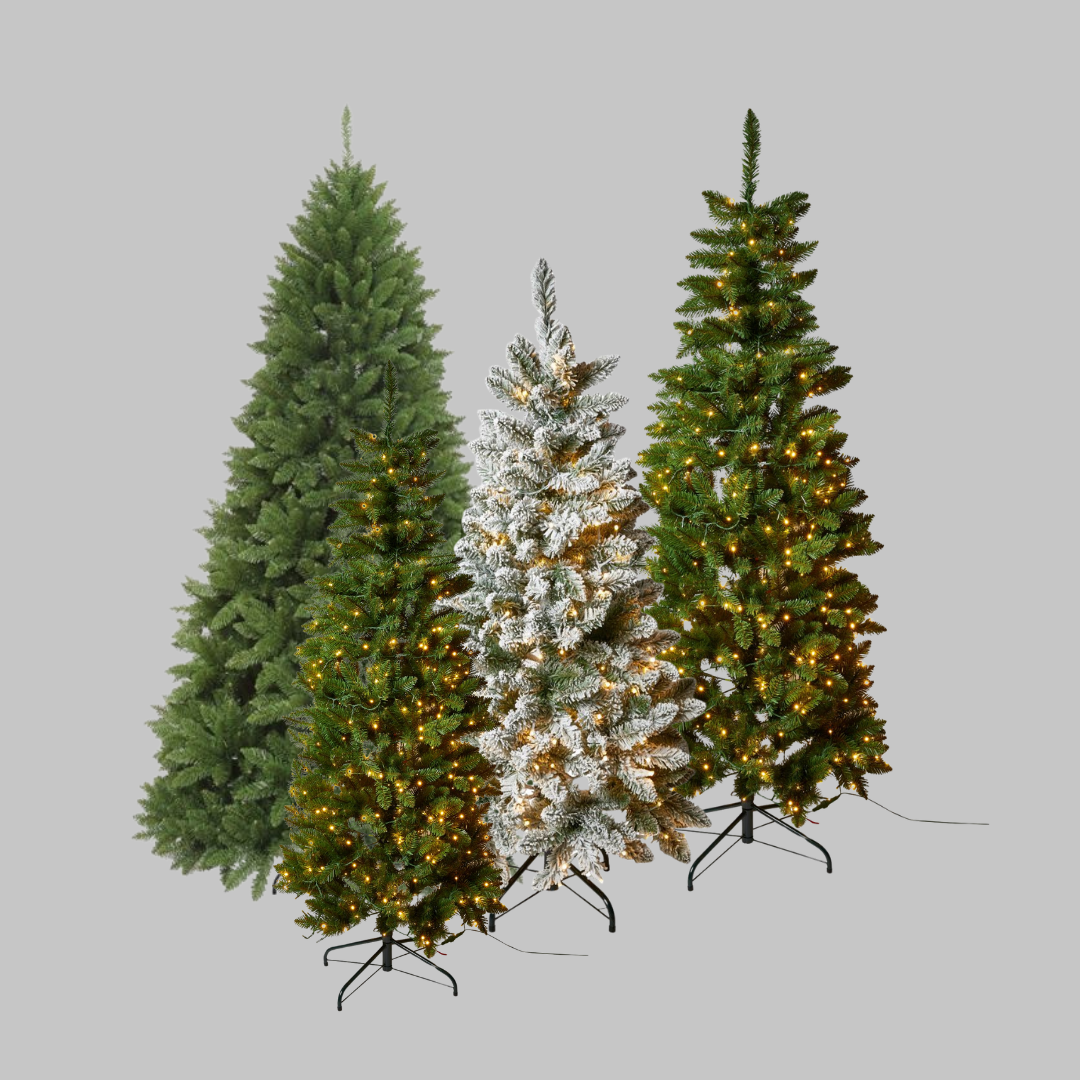 Your paragraph text_(1)