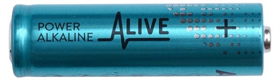 AA alkaline batteri 10 pak