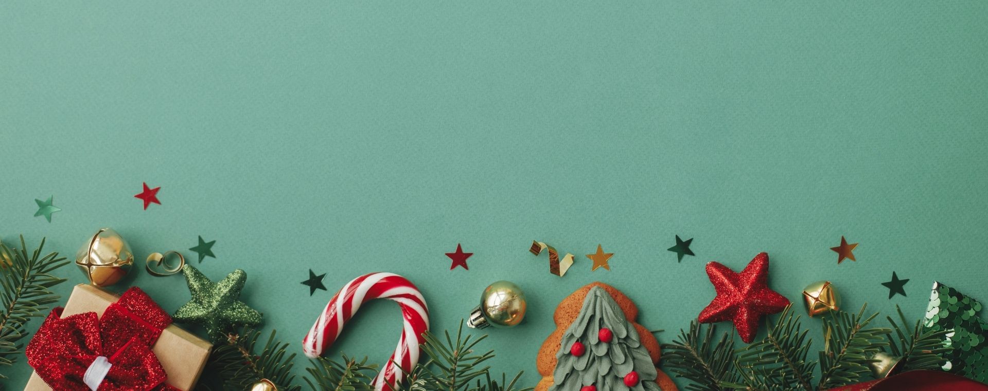 MALENES DOMNE - FORSIDE (1920 x 761 px) (7)_(2)