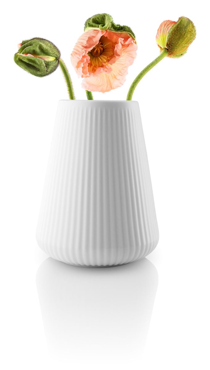 Eva Trio Legio Nova Vase 17Cm